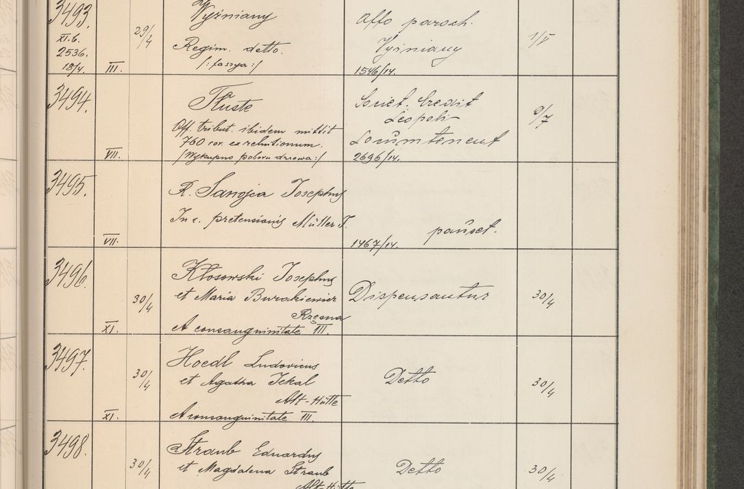Zdjęcie nr 356 dla obiektu archiwalnego: Protocollum Consistorii lat. Leop. 1914
