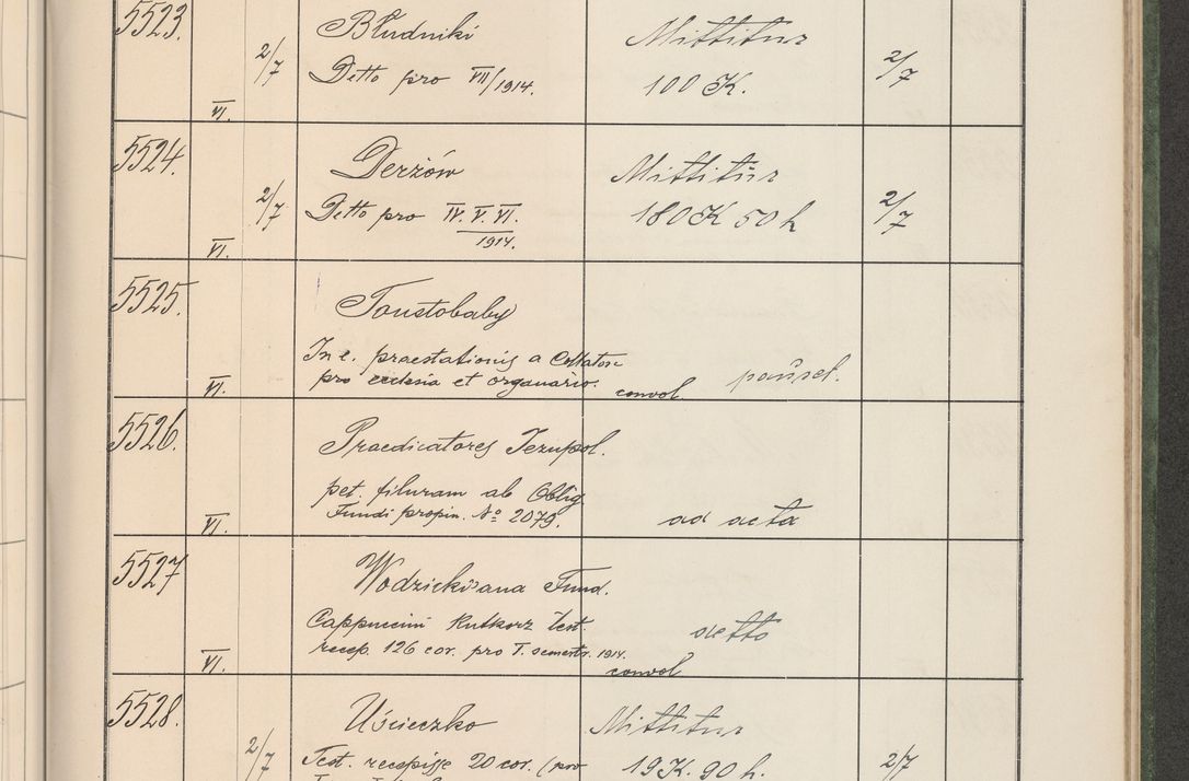 Zdjęcie nr 560 dla obiektu archiwalnego: Protocollum Consistorii lat. Leop. 1914