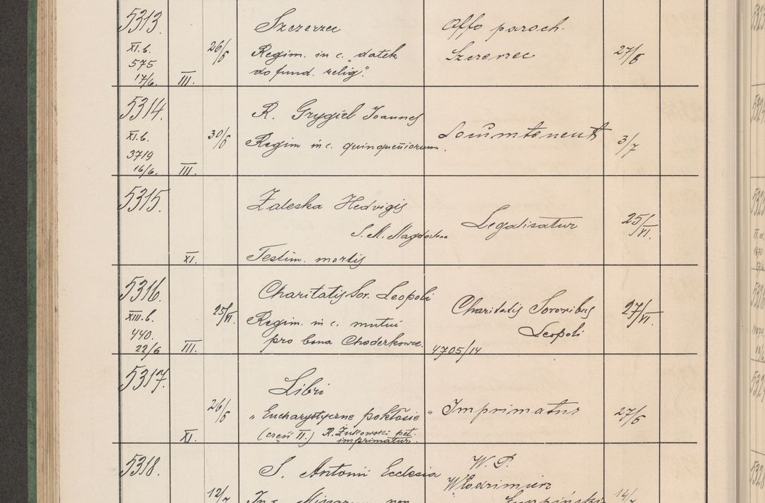 Zdjęcie nr 539 dla obiektu archiwalnego: Protocollum Consistorii lat. Leop. 1914