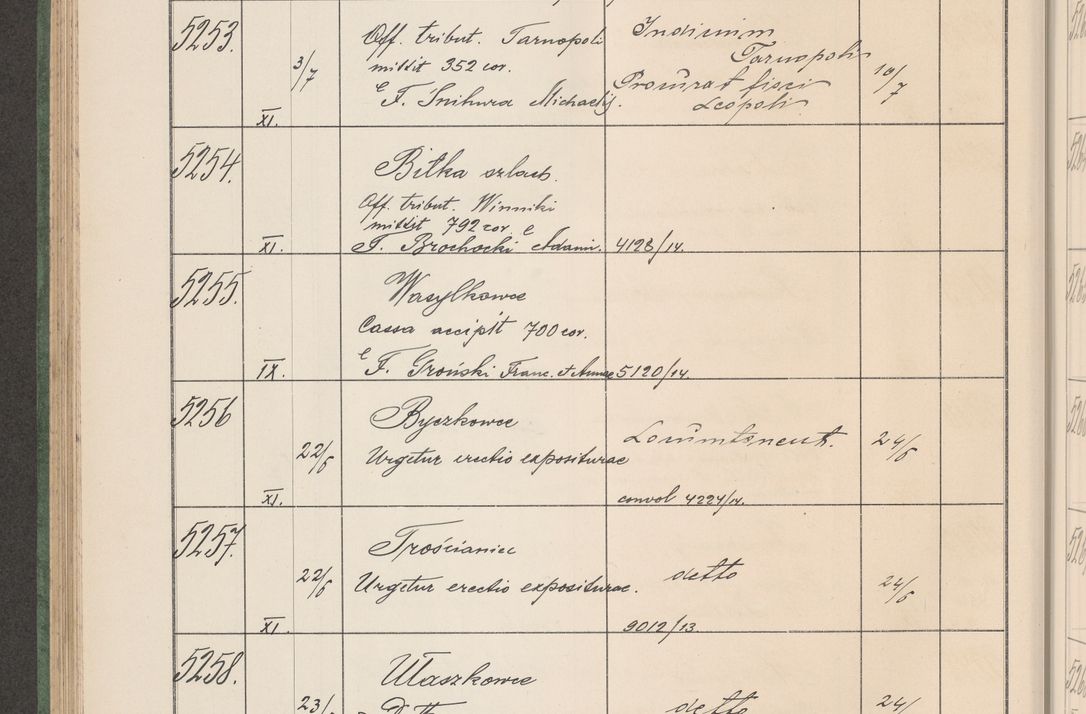 Zdjęcie nr 533 dla obiektu archiwalnego: Protocollum Consistorii lat. Leop. 1914