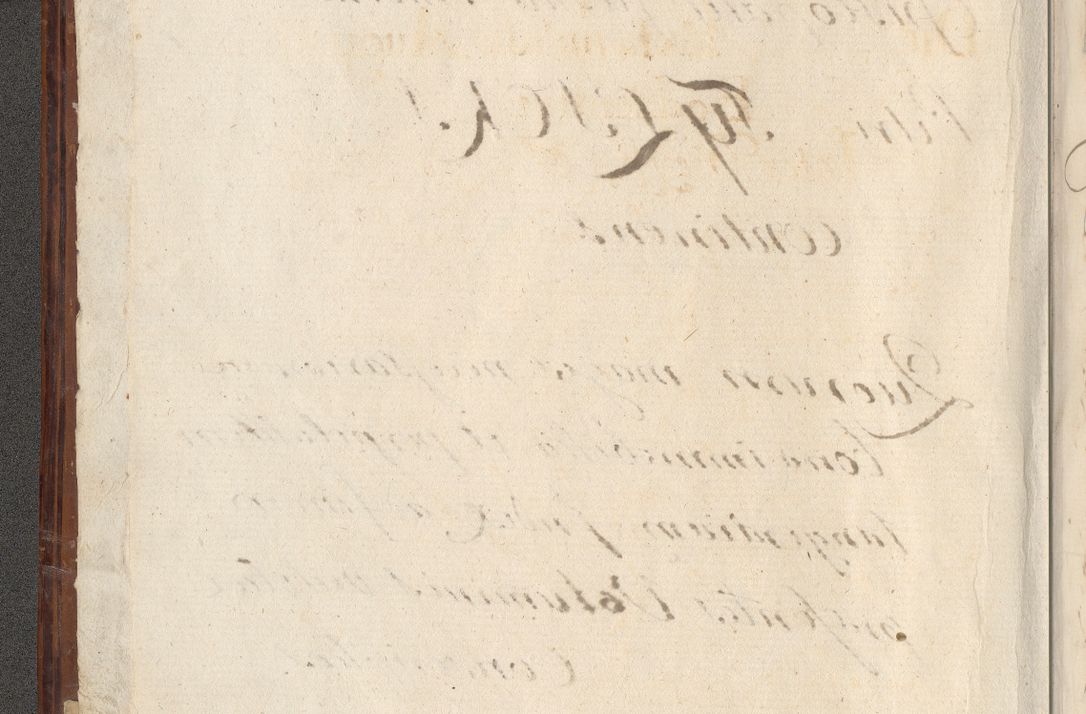 Zdjęcie nr 5 dla obiektu archiwalnego: Acta actorum causarum spiritualium, civilium, criminalium, obligationum, quiettationum, inscriptionum, cessionum, decimarum, testamentorum, Illustrissimi et Reverendissimi Domini Domini Martini Szyszkowski Dei &amp; Apostolicae Sedis gratia Episcopi Cracovienisis Ducis Severiensis in annis 1617, 1618, 1619. Tomus Primus.