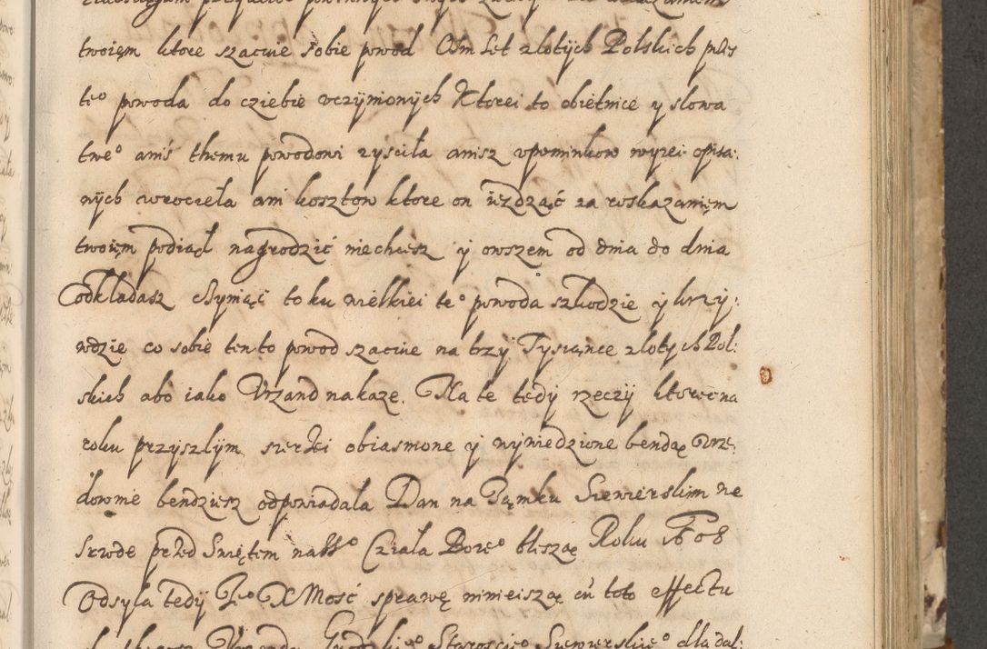 Zdjęcie nr 202 dla obiektu archiwalnego: Acta actorum causarum spiritualium, civilium, criminalium, obligationum, quiettationum, inscriptionum, cessionum, decimarum, testamentorum, Illustrissimi et Reverendissimi Domini Domini Martini Szyszkowski Dei &amp; Apostolicae Sedis gratia Episcopi Cracovienisis Ducis Severiensis in annis 1617, 1618, 1619. Tomus Primus.