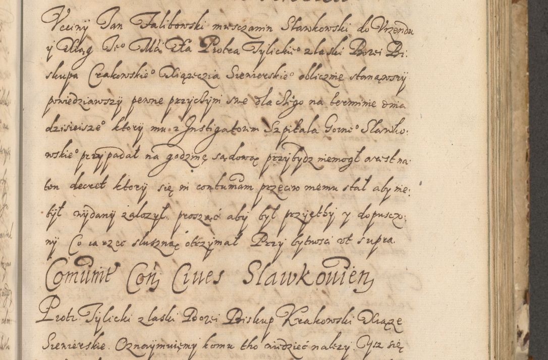 Zdjęcie nr 188 dla obiektu archiwalnego: Acta actorum causarum spiritualium, civilium, criminalium, obligationum, quiettationum, inscriptionum, cessionum, decimarum, testamentorum, Illustrissimi et Reverendissimi Domini Domini Martini Szyszkowski Dei &amp; Apostolicae Sedis gratia Episcopi Cracovienisis Ducis Severiensis in annis 1617, 1618, 1619. Tomus Primus.