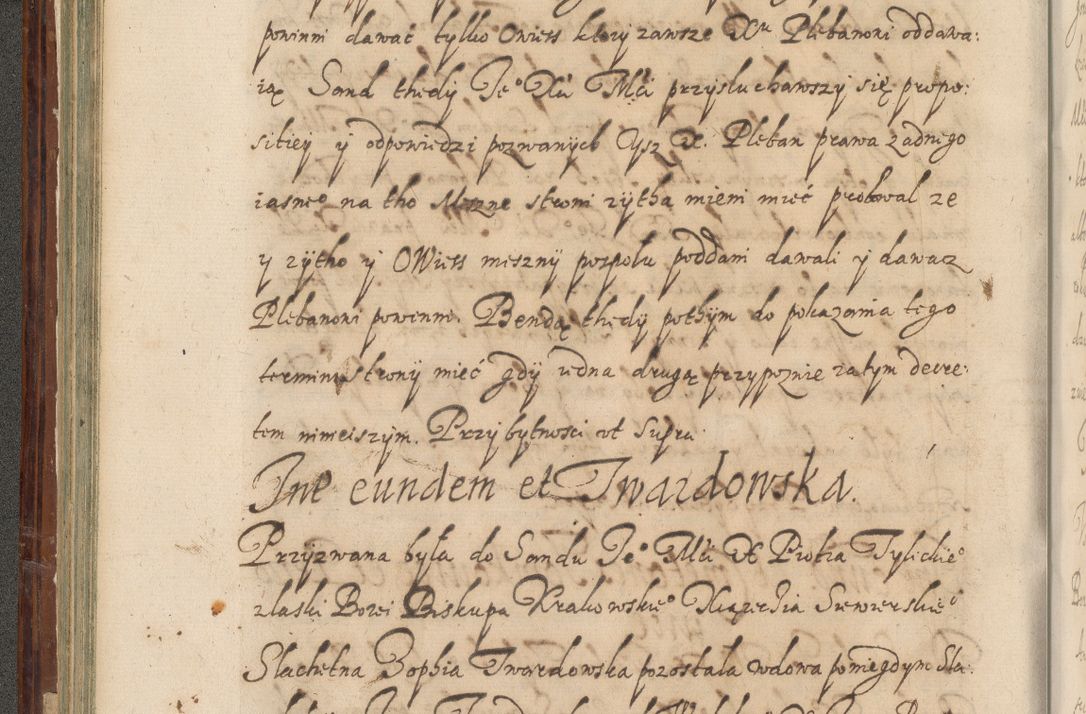 Zdjęcie nr 181 dla obiektu archiwalnego: Acta actorum causarum spiritualium, civilium, criminalium, obligationum, quiettationum, inscriptionum, cessionum, decimarum, testamentorum, Illustrissimi et Reverendissimi Domini Domini Martini Szyszkowski Dei &amp; Apostolicae Sedis gratia Episcopi Cracovienisis Ducis Severiensis in annis 1617, 1618, 1619. Tomus Primus.