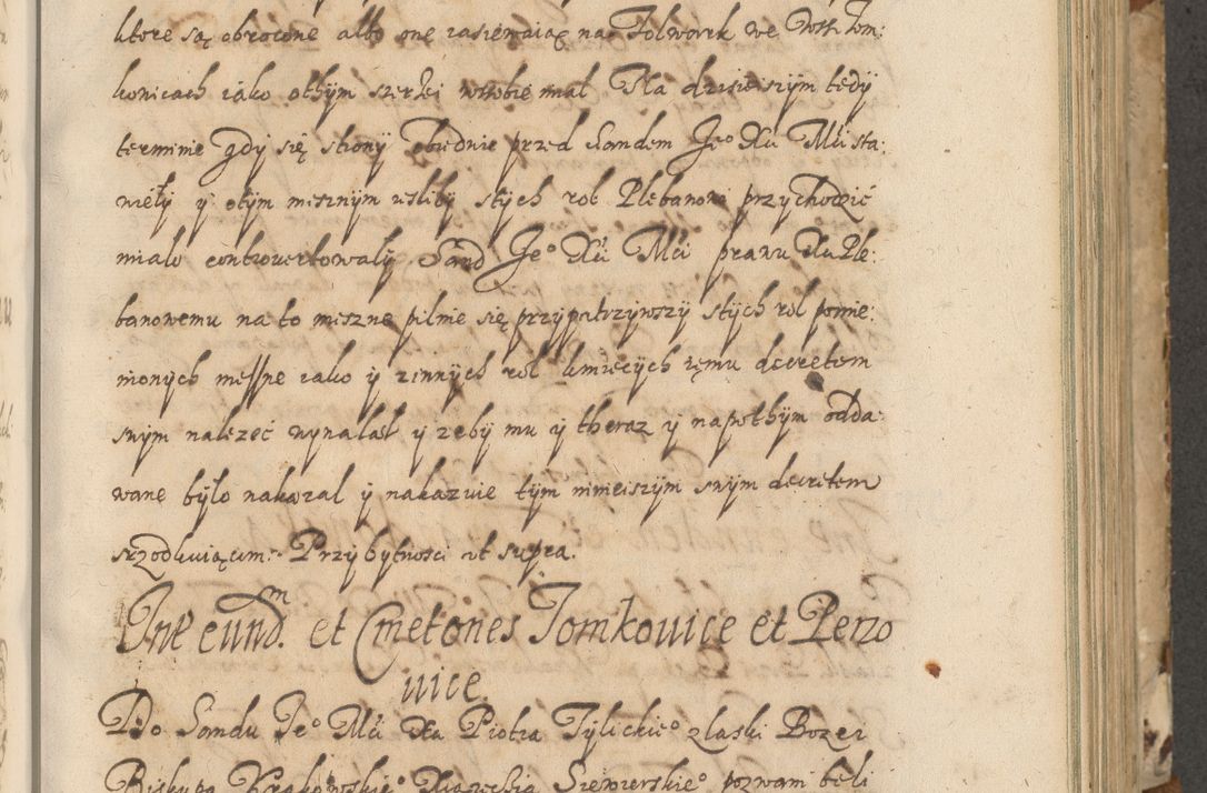 Zdjęcie nr 180 dla obiektu archiwalnego: Acta actorum causarum spiritualium, civilium, criminalium, obligationum, quiettationum, inscriptionum, cessionum, decimarum, testamentorum, Illustrissimi et Reverendissimi Domini Domini Martini Szyszkowski Dei &amp; Apostolicae Sedis gratia Episcopi Cracovienisis Ducis Severiensis in annis 1617, 1618, 1619. Tomus Primus.