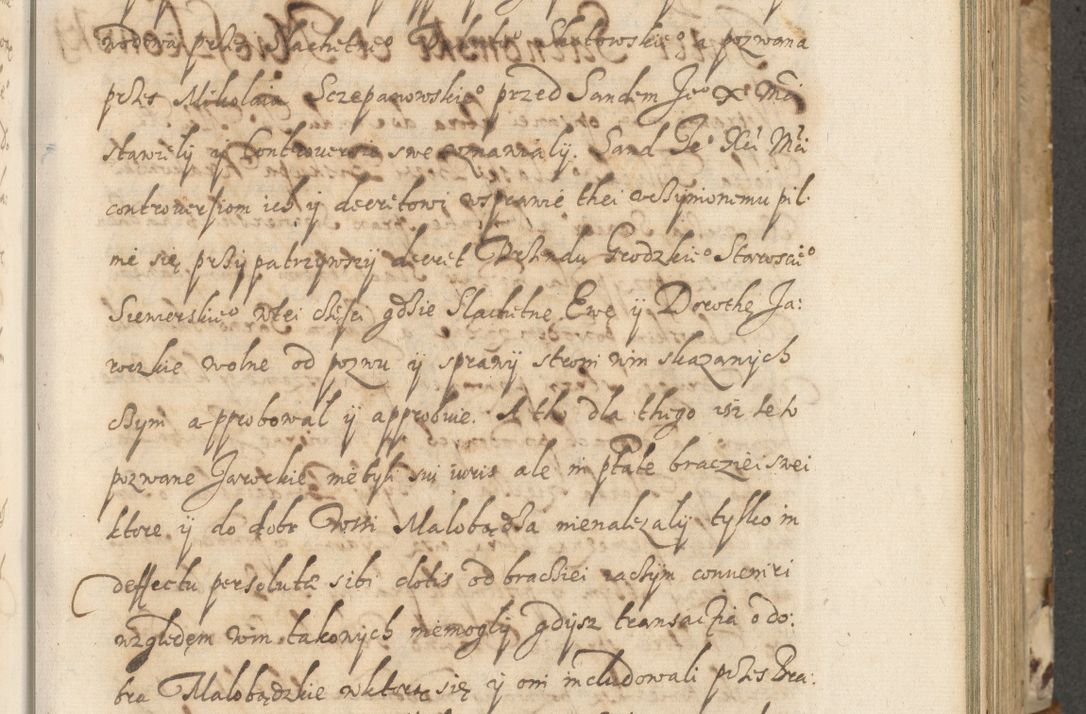 Zdjęcie nr 124 dla obiektu archiwalnego: Acta actorum causarum spiritualium, civilium, criminalium, obligationum, quiettationum, inscriptionum, cessionum, decimarum, testamentorum, Illustrissimi et Reverendissimi Domini Domini Martini Szyszkowski Dei &amp; Apostolicae Sedis gratia Episcopi Cracovienisis Ducis Severiensis in annis 1617, 1618, 1619. Tomus Primus.