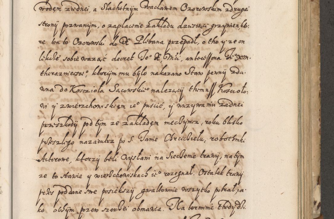 Zdjęcie nr 54 dla obiektu archiwalnego: Acta actorum causarum spiritualium, civilium, criminalium, obligationum, quiettationum, inscriptionum, cessionum, decimarum, testamentorum, Illustrissimi et Reverendissimi Domini Domini Martini Szyszkowski Dei &amp; Apostolicae Sedis gratia Episcopi Cracovienisis Ducis Severiensis in annis 1617, 1618, 1619. Tomus Primus.