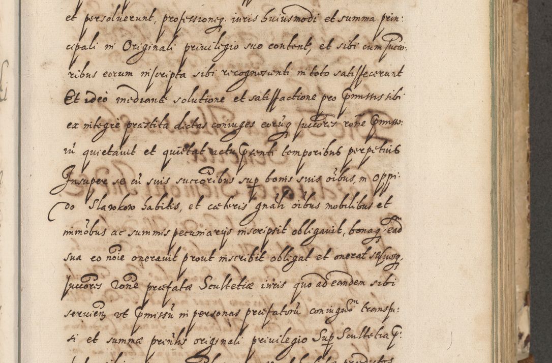 Zdjęcie nr 44 dla obiektu archiwalnego: Acta actorum causarum spiritualium, civilium, criminalium, obligationum, quiettationum, inscriptionum, cessionum, decimarum, testamentorum, Illustrissimi et Reverendissimi Domini Domini Martini Szyszkowski Dei &amp; Apostolicae Sedis gratia Episcopi Cracovienisis Ducis Severiensis in annis 1617, 1618, 1619. Tomus Primus.