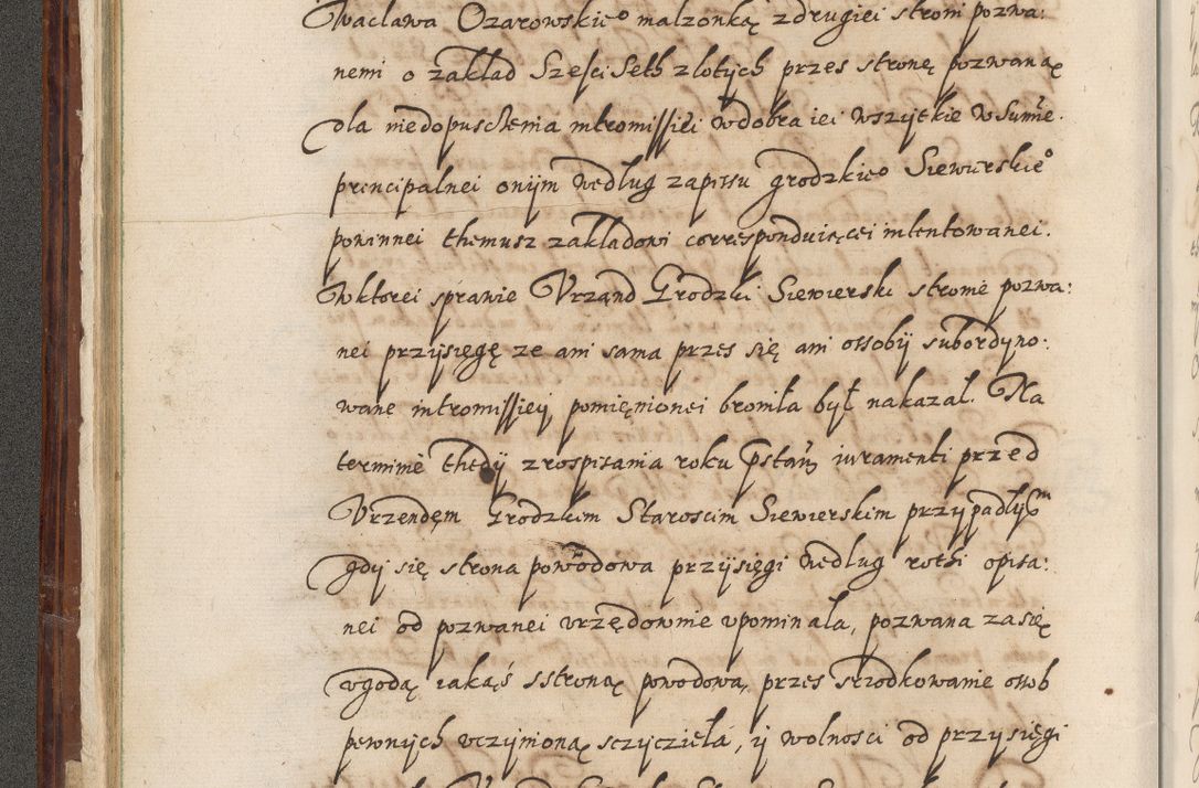 Zdjęcie nr 41 dla obiektu archiwalnego: Acta actorum causarum spiritualium, civilium, criminalium, obligationum, quiettationum, inscriptionum, cessionum, decimarum, testamentorum, Illustrissimi et Reverendissimi Domini Domini Martini Szyszkowski Dei &amp; Apostolicae Sedis gratia Episcopi Cracovienisis Ducis Severiensis in annis 1617, 1618, 1619. Tomus Primus.
