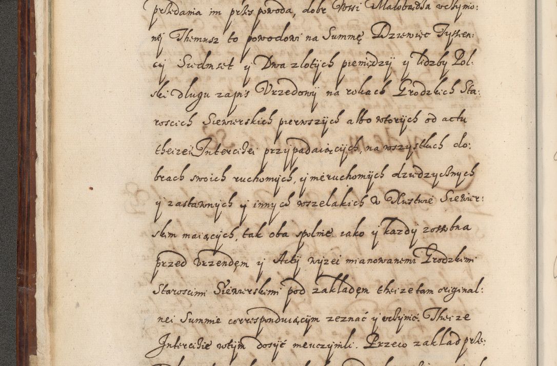 Zdjęcie nr 27 dla obiektu archiwalnego: Acta actorum causarum spiritualium, civilium, criminalium, obligationum, quiettationum, inscriptionum, cessionum, decimarum, testamentorum, Illustrissimi et Reverendissimi Domini Domini Martini Szyszkowski Dei &amp; Apostolicae Sedis gratia Episcopi Cracovienisis Ducis Severiensis in annis 1617, 1618, 1619. Tomus Primus.