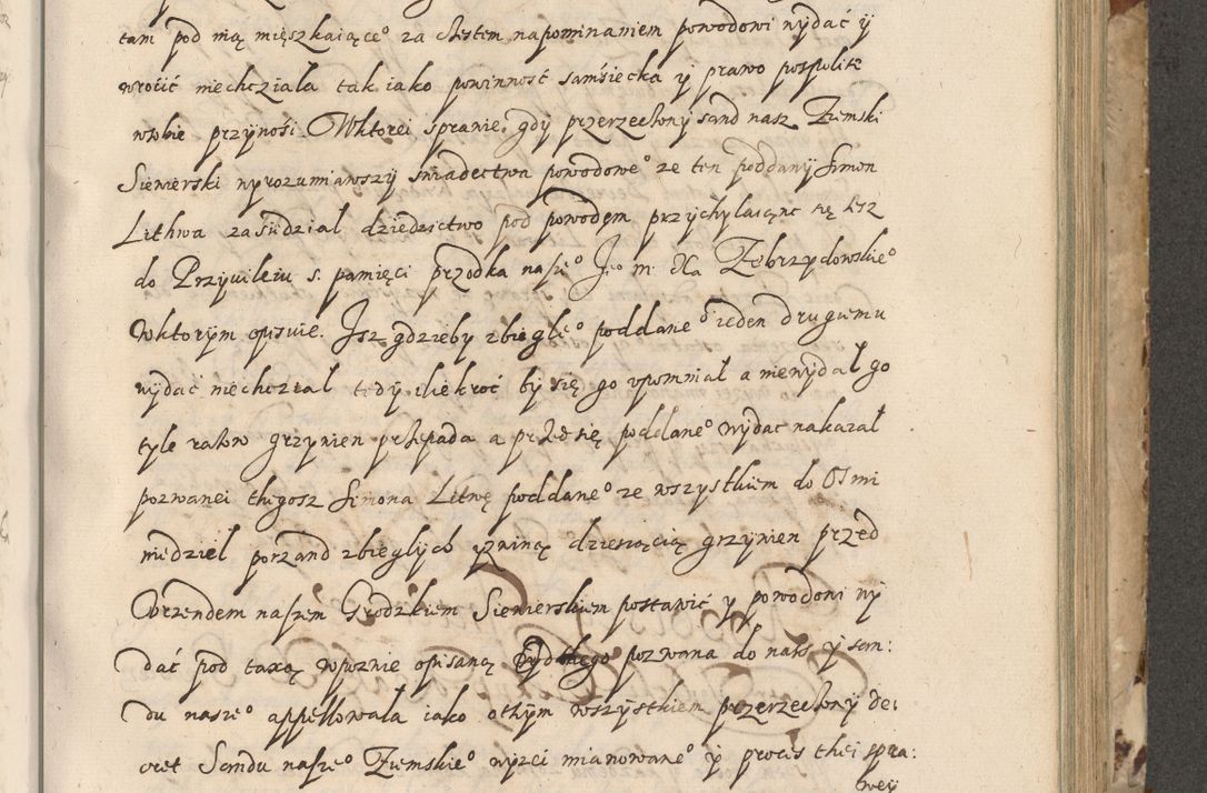 Zdjęcie nr 308 dla obiektu archiwalnego: Acta actorum causarum spiritualium, civilium, criminalium, obligationum, quiettationum, inscriptionum, cessionum, decimarum, testamentorum, Illustrissimi et Reverendissimi Domini Domini Martini Szyszkowski Dei &amp; Apostolicae Sedis gratia Episcopi Cracovienisis Ducis Severiensis in annis 1617, 1618, 1619. Tomus Primus.
