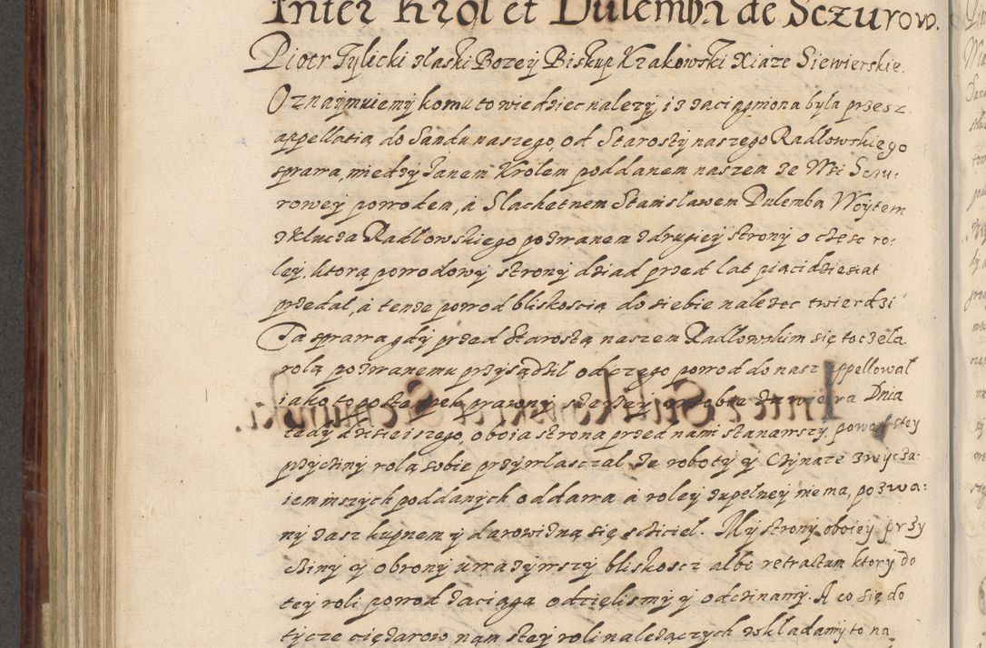Zdjęcie nr 599 dla obiektu archiwalnego: Acta actorum causarum spiritualium, civilium, criminalium, obligationum, quiettationum, inscriptionum, cessionum, decimarum, testamentorum, Illustrissimi et Reverendissimi Domini Domini Martini Szyszkowski Dei &amp; Apostolicae Sedis gratia Episcopi Cracovienisis Ducis Severiensis in annis 1617, 1618, 1619. Tomus Primus.