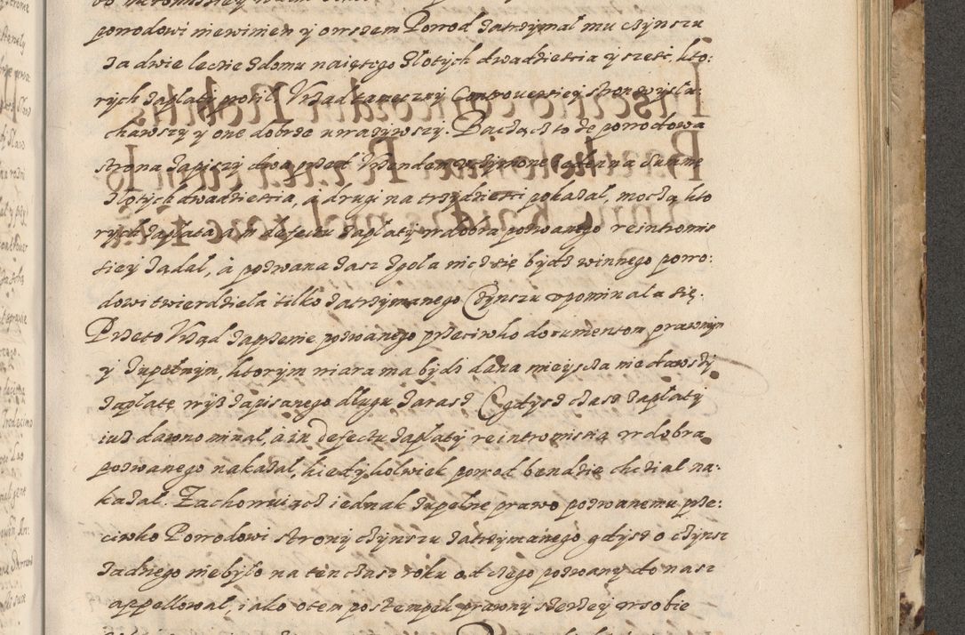 Zdjęcie nr 576 dla obiektu archiwalnego: Acta actorum causarum spiritualium, civilium, criminalium, obligationum, quiettationum, inscriptionum, cessionum, decimarum, testamentorum, Illustrissimi et Reverendissimi Domini Domini Martini Szyszkowski Dei &amp; Apostolicae Sedis gratia Episcopi Cracovienisis Ducis Severiensis in annis 1617, 1618, 1619. Tomus Primus.