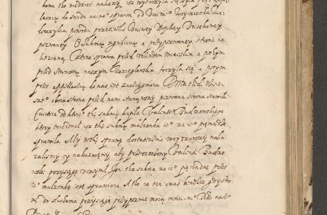 Zdjęcie nr 428 dla obiektu archiwalnego: Acta actorum causarum spiritualium, civilium, criminalium, obligationum, quiettationum, inscriptionum, cessionum, decimarum, testamentorum, Illustrissimi et Reverendissimi Domini Domini Martini Szyszkowski Dei &amp; Apostolicae Sedis gratia Episcopi Cracovienisis Ducis Severiensis in annis 1617, 1618, 1619. Tomus Primus.