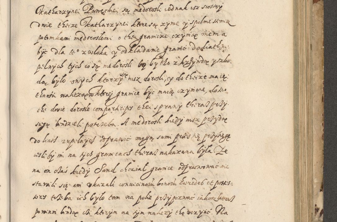 Zdjęcie nr 402 dla obiektu archiwalnego: Acta actorum causarum spiritualium, civilium, criminalium, obligationum, quiettationum, inscriptionum, cessionum, decimarum, testamentorum, Illustrissimi et Reverendissimi Domini Domini Martini Szyszkowski Dei &amp; Apostolicae Sedis gratia Episcopi Cracovienisis Ducis Severiensis in annis 1617, 1618, 1619. Tomus Primus.