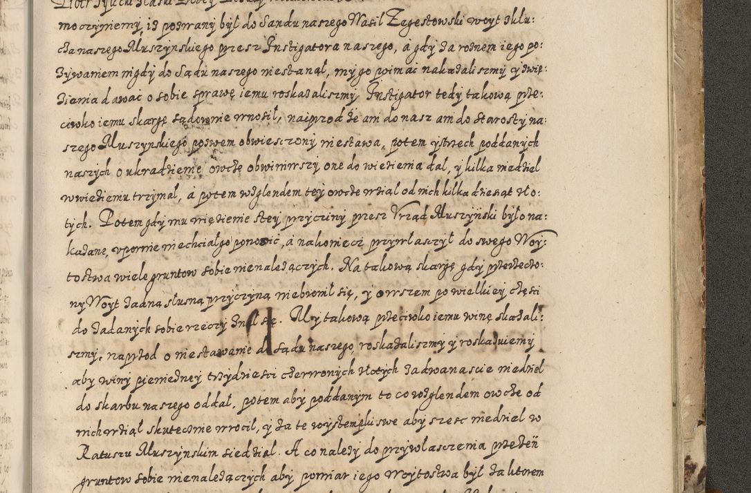 Zdjęcie nr 888 dla obiektu archiwalnego: Acta actorum causarum spiritualium, civilium, criminalium, obligationum, quiettationum, inscriptionum, cessionum, decimarum, testamentorum, Illustrissimi et Reverendissimi Domini Domini Martini Szyszkowski Dei &amp; Apostolicae Sedis gratia Episcopi Cracovienisis Ducis Severiensis in annis 1617, 1618, 1619. Tomus Primus.