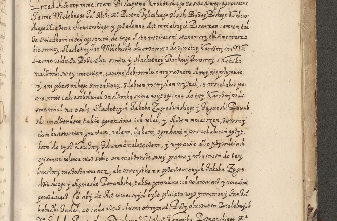 Zdjęcie nr 880 dla obiektu archiwalnego: Acta actorum causarum spiritualium, civilium, criminalium, obligationum, quiettationum, inscriptionum, cessionum, decimarum, testamentorum, Illustrissimi et Reverendissimi Domini Domini Martini Szyszkowski Dei &amp; Apostolicae Sedis gratia Episcopi Cracovienisis Ducis Severiensis in annis 1617, 1618, 1619. Tomus Primus.