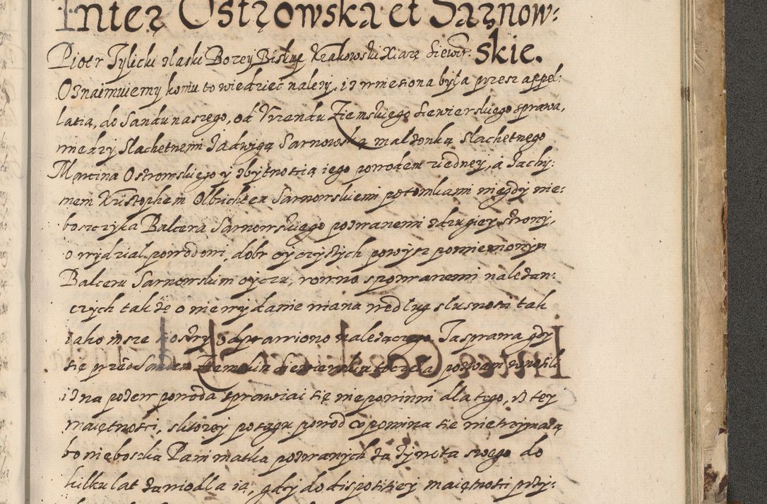 Zdjęcie nr 828 dla obiektu archiwalnego: Acta actorum causarum spiritualium, civilium, criminalium, obligationum, quiettationum, inscriptionum, cessionum, decimarum, testamentorum, Illustrissimi et Reverendissimi Domini Domini Martini Szyszkowski Dei &amp; Apostolicae Sedis gratia Episcopi Cracovienisis Ducis Severiensis in annis 1617, 1618, 1619. Tomus Primus.