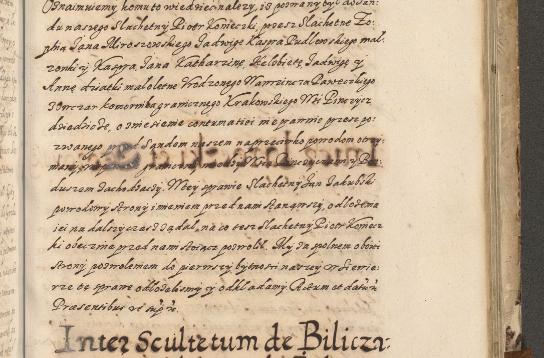 Zdjęcie nr 658 dla obiektu archiwalnego: Acta actorum causarum spiritualium, civilium, criminalium, obligationum, quiettationum, inscriptionum, cessionum, decimarum, testamentorum, Illustrissimi et Reverendissimi Domini Domini Martini Szyszkowski Dei &amp; Apostolicae Sedis gratia Episcopi Cracovienisis Ducis Severiensis in annis 1617, 1618, 1619. Tomus Primus.