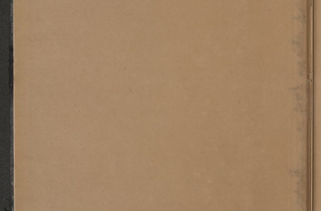 Zdjęcie nr 5 dla obiektu archiwalnego: Protocollum Consistorii lat. Leop. 1928