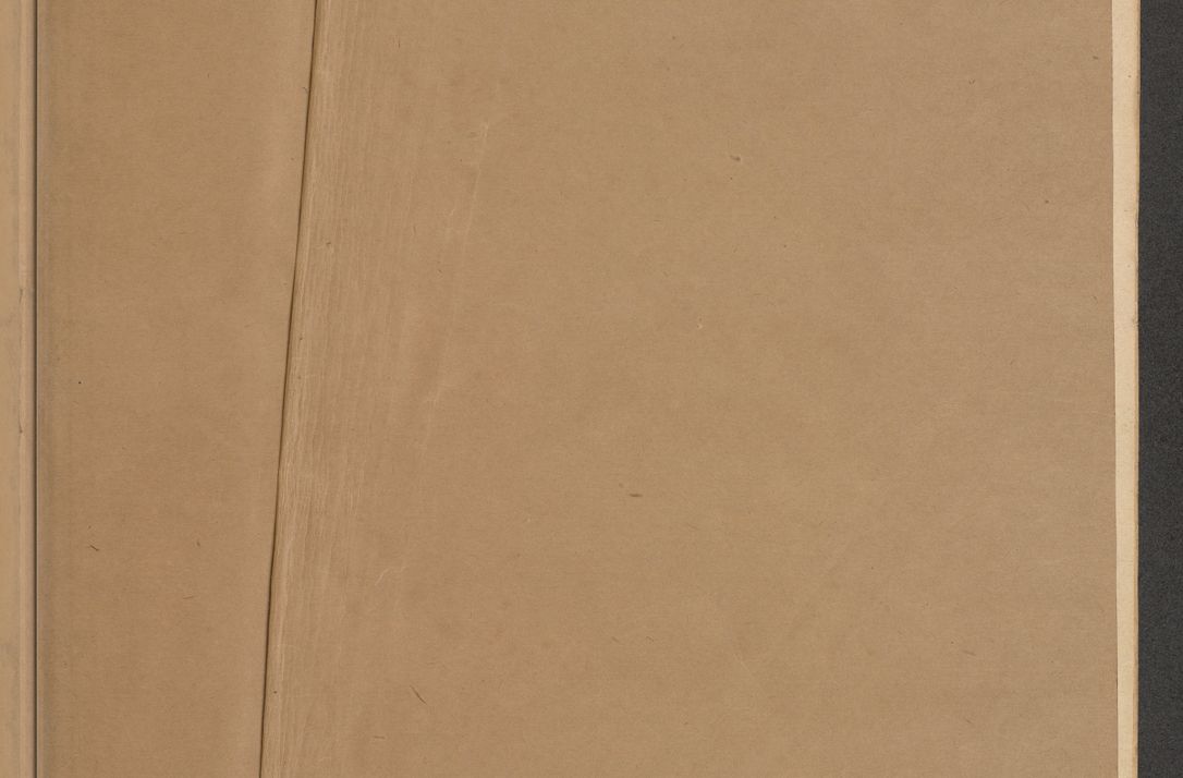 Zdjęcie nr 6 dla obiektu archiwalnego: Protocollum Consistorii lat. Leop. 1928