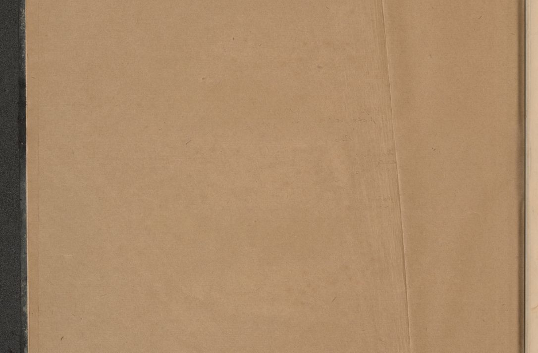 Zdjęcie nr 7 dla obiektu archiwalnego: Protocollum Consistorii lat. Leop. 1928