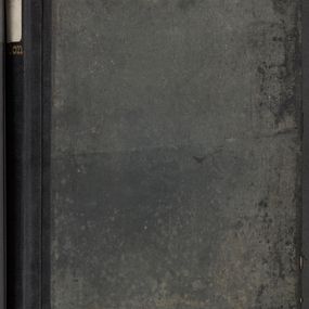 Zdjęcie nr 1 dla obiektu archiwalnego: Protocollum Consistorii lat. Leop. 1928