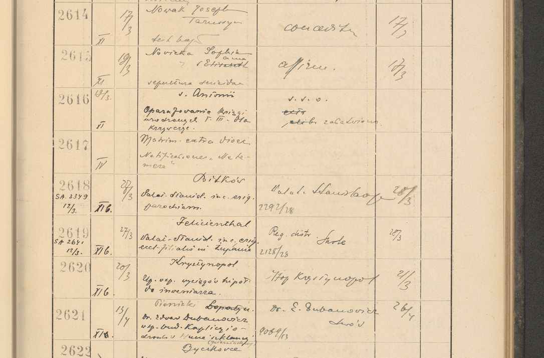 Zdjęcie nr 187 dla obiektu archiwalnego: Protocollum Consistorii lat. Leop. 1928