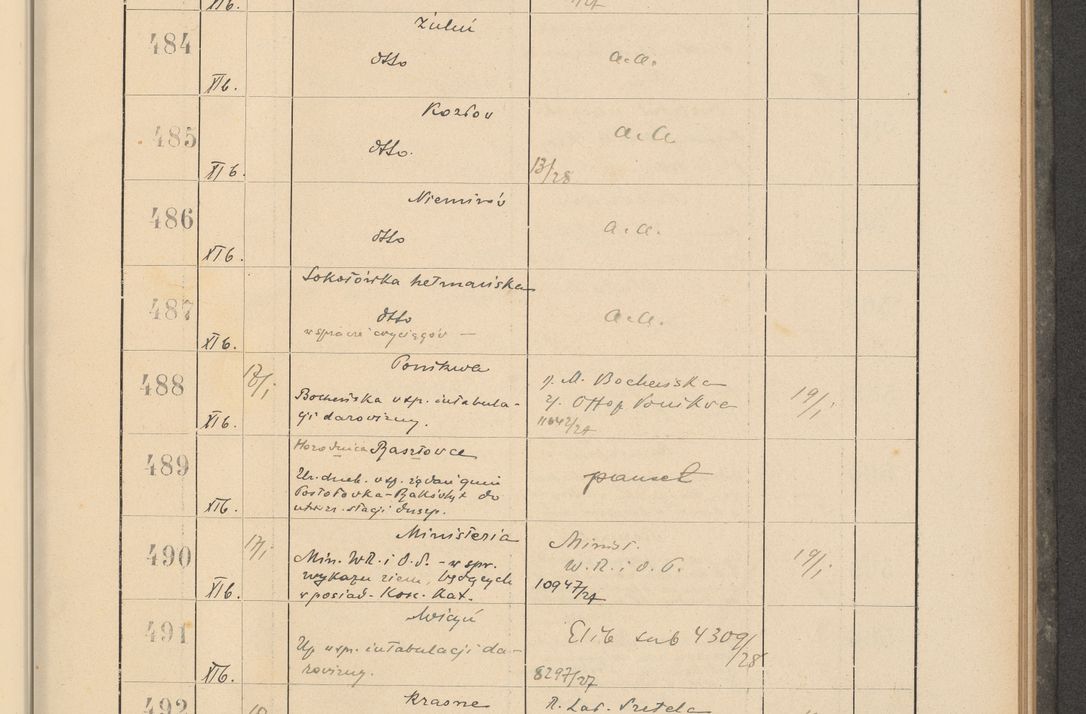 Zdjęcie nr 45 dla obiektu archiwalnego: Protocollum Consistorii lat. Leop. 1928