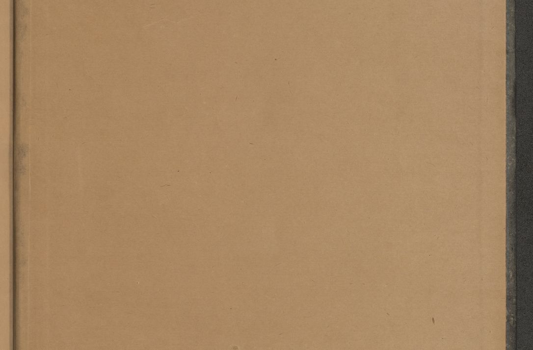 Zdjęcie nr 10 dla obiektu archiwalnego: Protocollum Consistorii lat. Leop. 1928