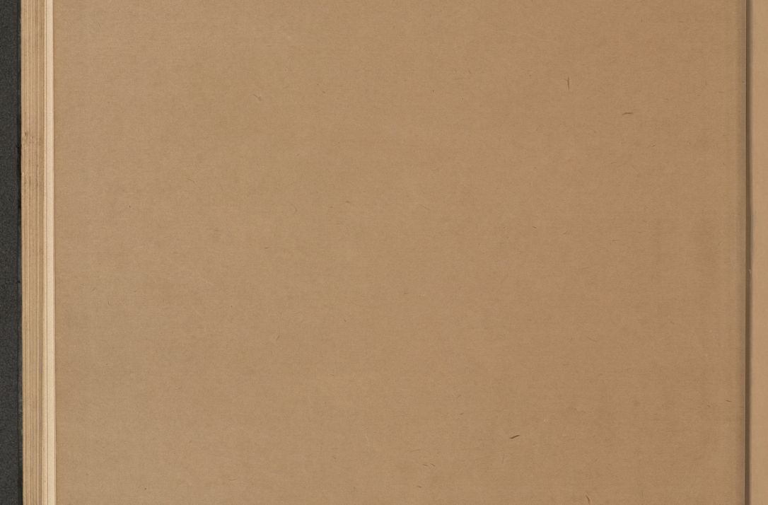 Zdjęcie nr 9 dla obiektu archiwalnego: Protocollum Consistorii lat. Leop. 1928