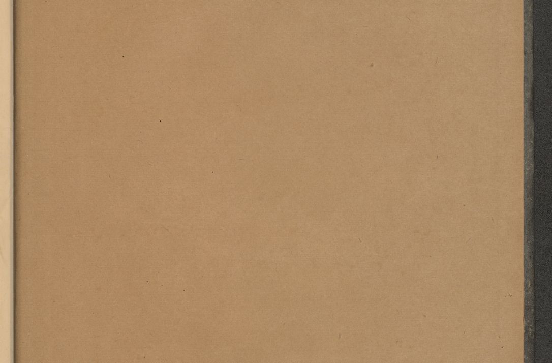 Zdjęcie nr 8 dla obiektu archiwalnego: Protocollum Consistorii lat. Leop. 1928