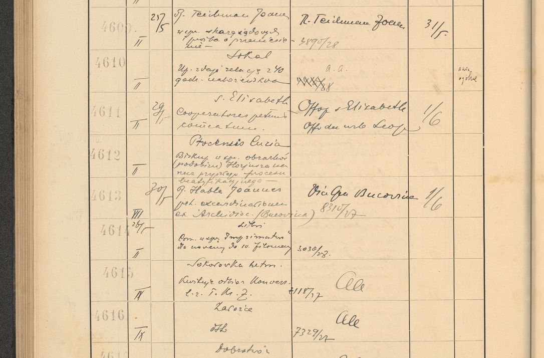 Zdjęcie nr 320 dla obiektu archiwalnego: Protocollum Consistorii lat. Leop. 1928