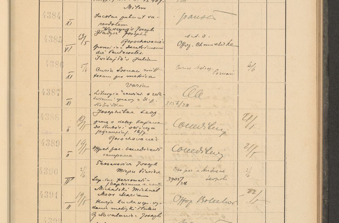 Zdjęcie nr 305 dla obiektu archiwalnego: Protocollum Consistorii lat. Leop. 1928