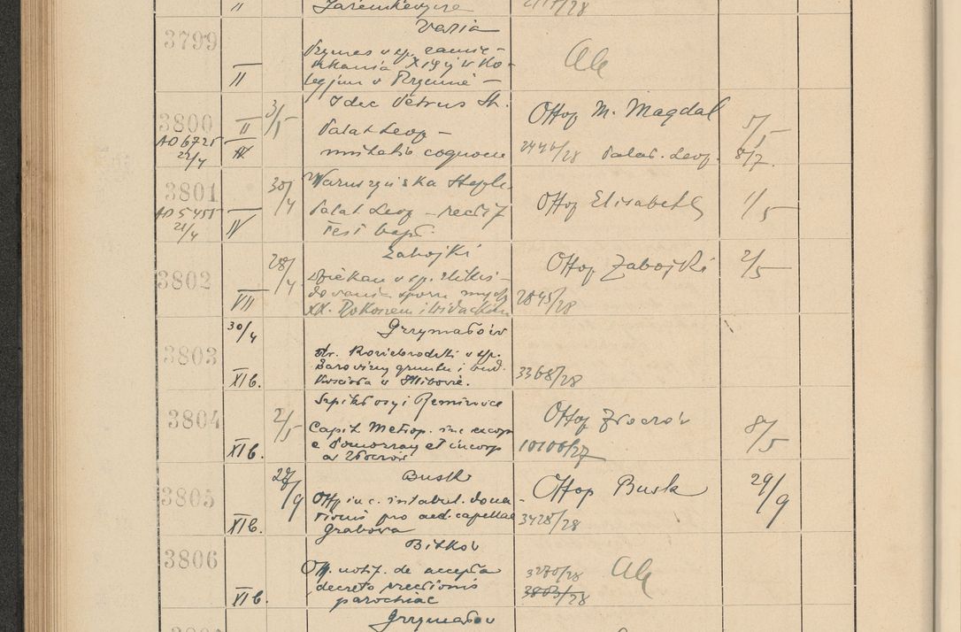 Zdjęcie nr 266 dla obiektu archiwalnego: Protocollum Consistorii lat. Leop. 1928