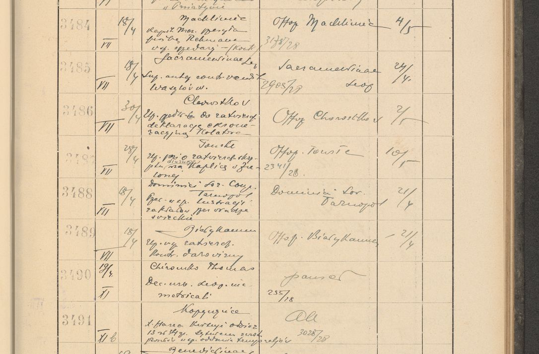 Zdjęcie nr 245 dla obiektu archiwalnego: Protocollum Consistorii lat. Leop. 1928