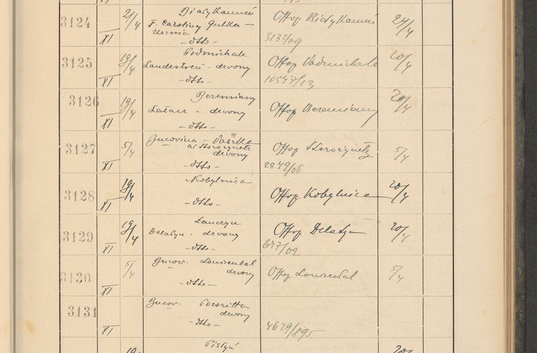 Zdjęcie nr 221 dla obiektu archiwalnego: Protocollum Consistorii lat. Leop. 1928