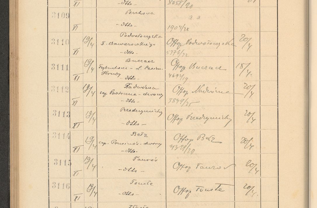 Zdjęcie nr 220 dla obiektu archiwalnego: Protocollum Consistorii lat. Leop. 1928
