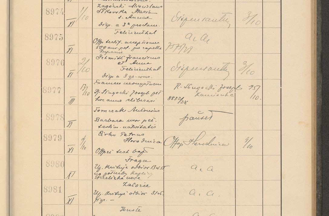 Zdjęcie nr 611 dla obiektu archiwalnego: Protocollum Consistorii lat. Leop. 1928
