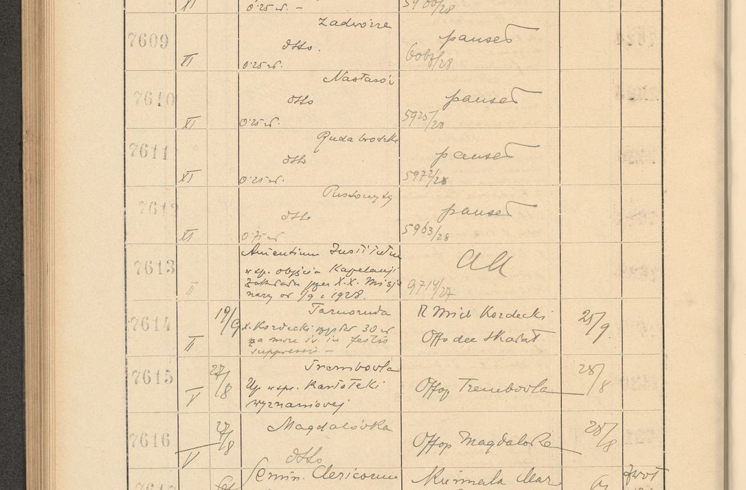 Zdjęcie nr 520 dla obiektu archiwalnego: Protocollum Consistorii lat. Leop. 1928
