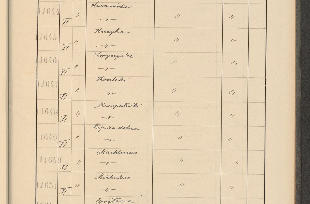 Zdjęcie nr 789 dla obiektu archiwalnego: Protocollum Consistorii lat. Leop. 1928