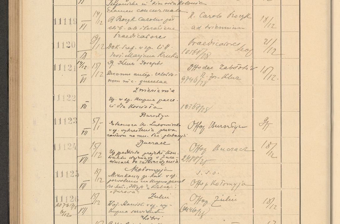 Zdjęcie nr 754 dla obiektu archiwalnego: Protocollum Consistorii lat. Leop. 1928