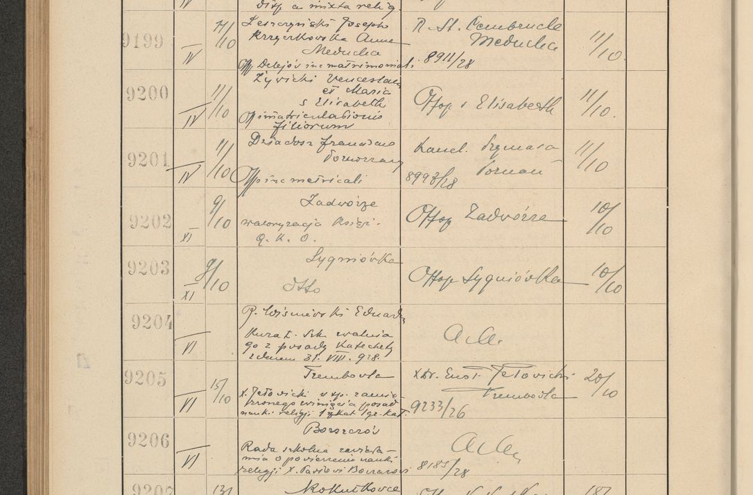 Zdjęcie nr 626 dla obiektu archiwalnego: Protocollum Consistorii lat. Leop. 1928