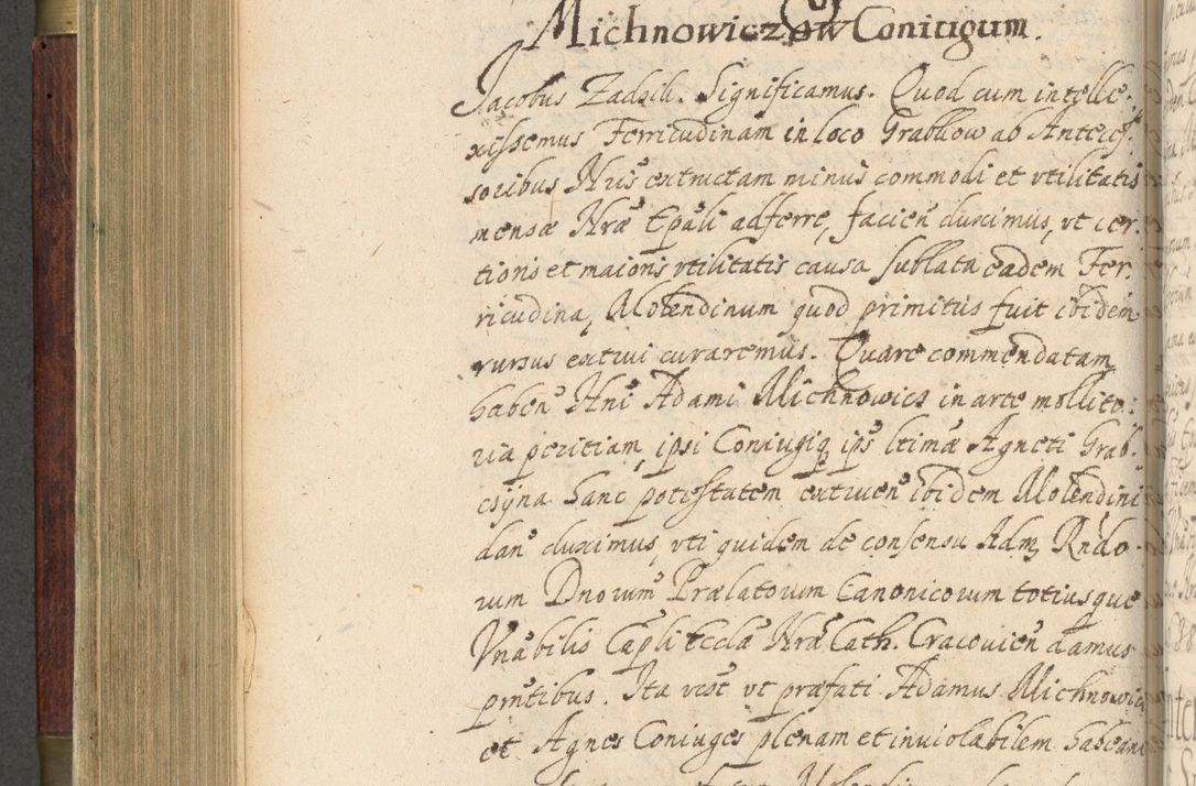 Zdjęcie nr 395 dla obiektu archiwalnego: Volumen IV. Acta saecularia episcopatus Cracoviensis annorum 1636 - 1641, tum et aliquot mensium secundi sub tempus R. D. Jacobi Zadzik, episcopi Cracoviensis, ducis Severiae conscripta