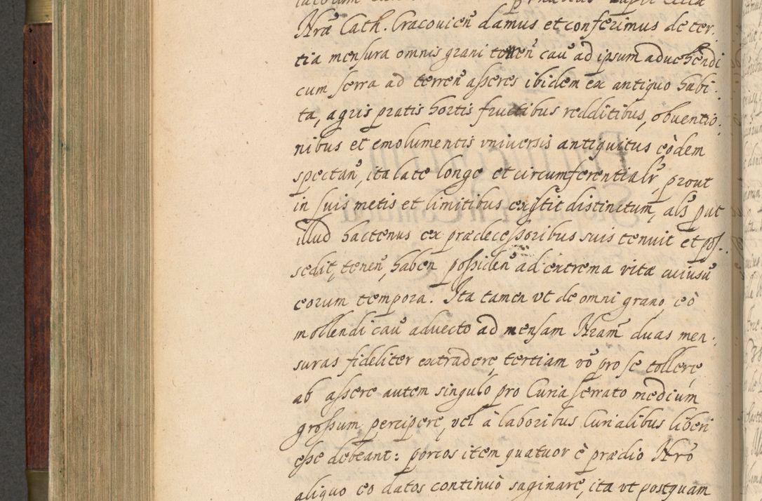 Zdjęcie nr 393 dla obiektu archiwalnego: Volumen IV. Acta saecularia episcopatus Cracoviensis annorum 1636 - 1641, tum et aliquot mensium secundi sub tempus R. D. Jacobi Zadzik, episcopi Cracoviensis, ducis Severiae conscripta