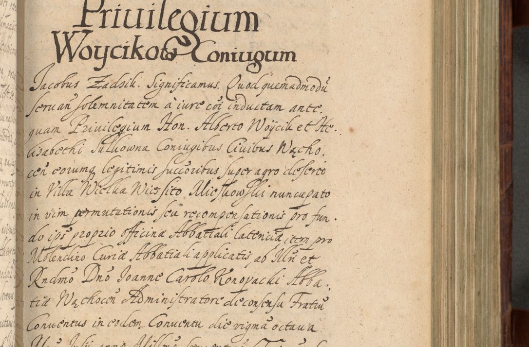 Zdjęcie nr 390 dla obiektu archiwalnego: Volumen IV. Acta saecularia episcopatus Cracoviensis annorum 1636 - 1641, tum et aliquot mensium secundi sub tempus R. D. Jacobi Zadzik, episcopi Cracoviensis, ducis Severiae conscripta