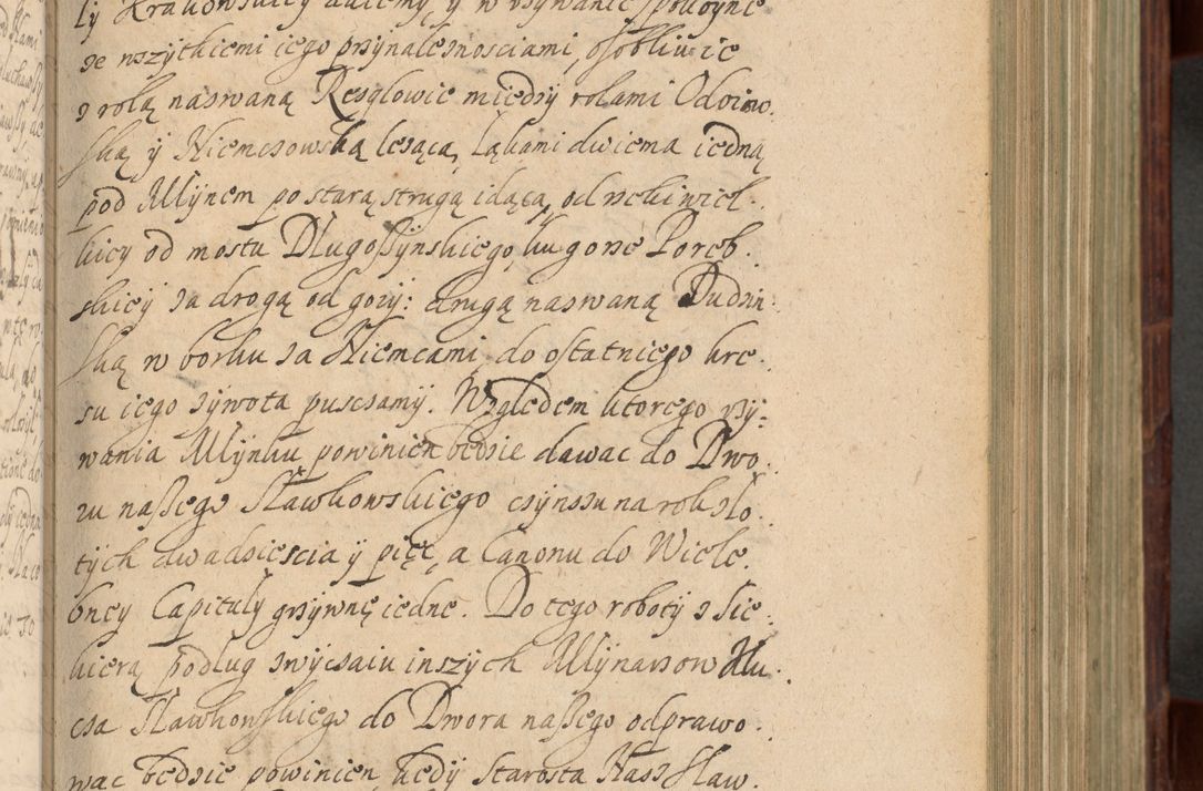 Zdjęcie nr 376 dla obiektu archiwalnego: Volumen IV. Acta saecularia episcopatus Cracoviensis annorum 1636 - 1641, tum et aliquot mensium secundi sub tempus R. D. Jacobi Zadzik, episcopi Cracoviensis, ducis Severiae conscripta