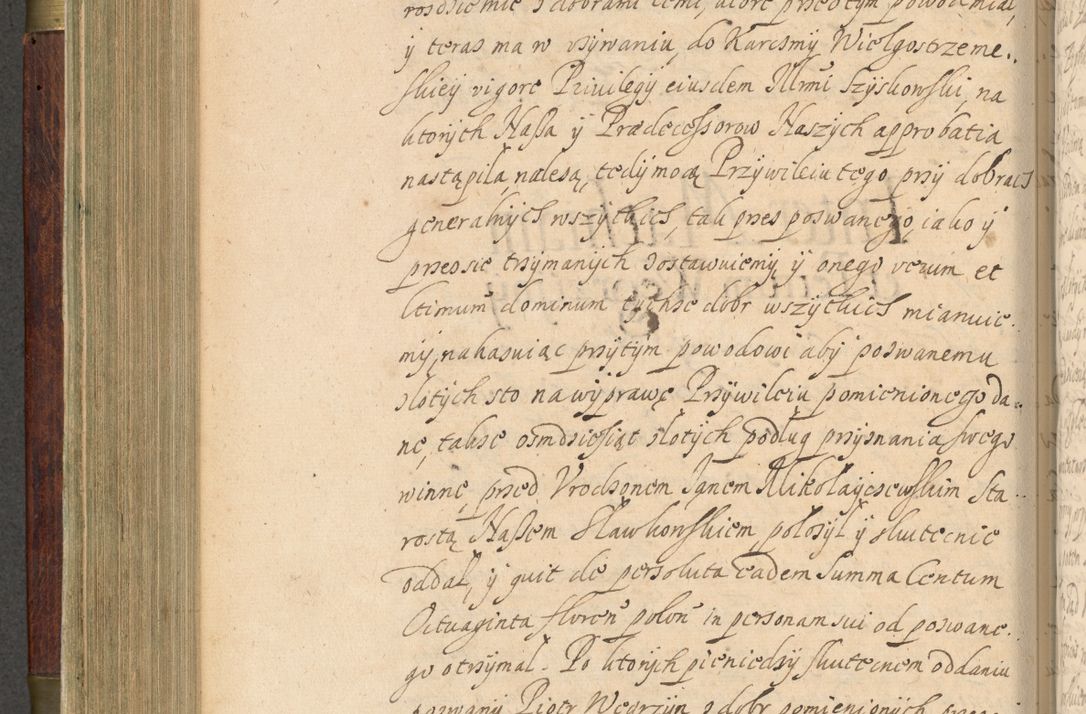 Zdjęcie nr 369 dla obiektu archiwalnego: Volumen IV. Acta saecularia episcopatus Cracoviensis annorum 1636 - 1641, tum et aliquot mensium secundi sub tempus R. D. Jacobi Zadzik, episcopi Cracoviensis, ducis Severiae conscripta