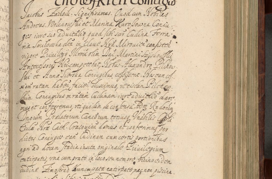 Zdjęcie nr 356 dla obiektu archiwalnego: Volumen IV. Acta saecularia episcopatus Cracoviensis annorum 1636 - 1641, tum et aliquot mensium secundi sub tempus R. D. Jacobi Zadzik, episcopi Cracoviensis, ducis Severiae conscripta