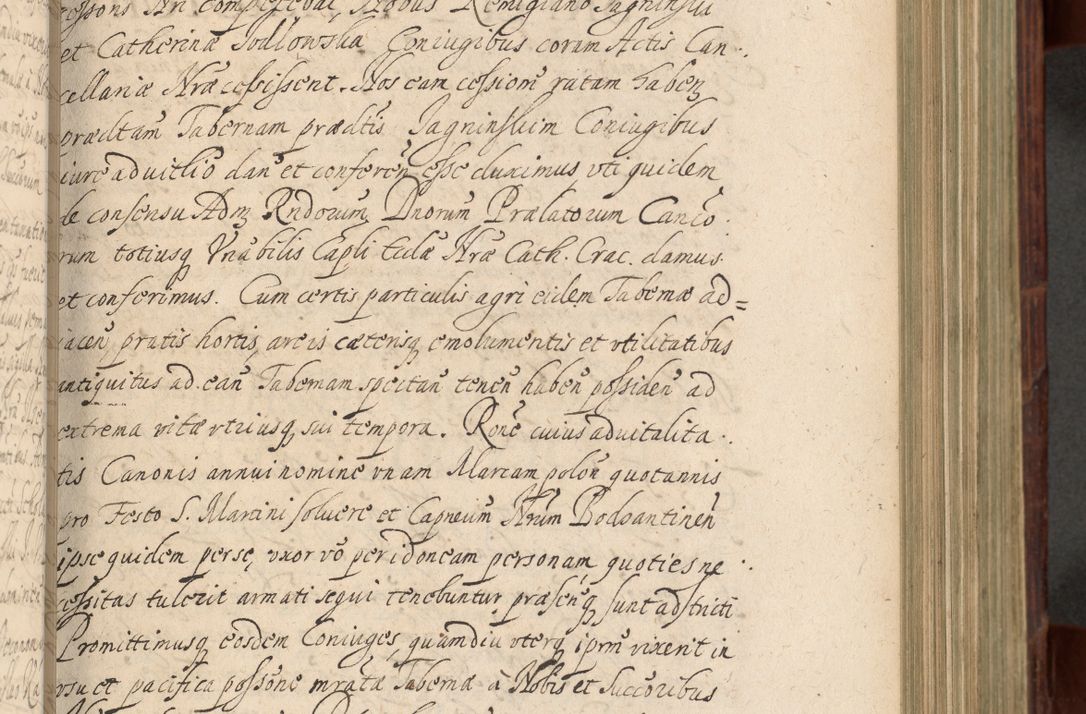 Zdjęcie nr 342 dla obiektu archiwalnego: Volumen IV. Acta saecularia episcopatus Cracoviensis annorum 1636 - 1641, tum et aliquot mensium secundi sub tempus R. D. Jacobi Zadzik, episcopi Cracoviensis, ducis Severiae conscripta